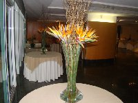 Evento - Hotel Ilha do Boi